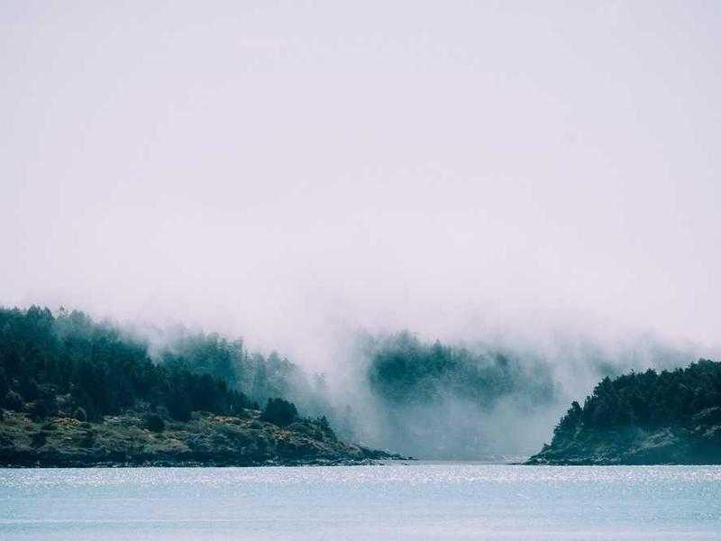 Greta Thunberg: Biografia e il suo impegno nella Global Sumud Flotilla