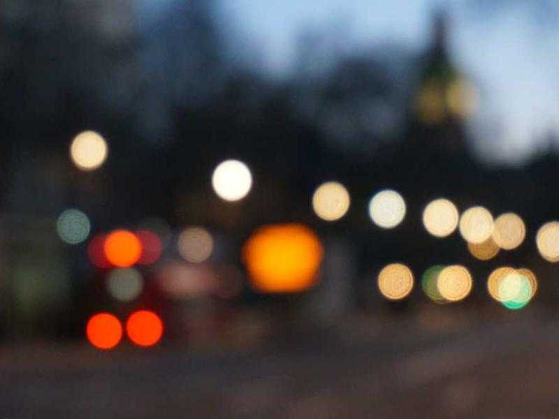 I Benefici di Avere Gatti in Casa per la Salute