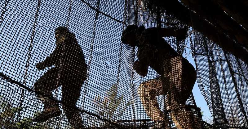 Zelensky: «In armi russe 132mila componenti estere». Trump:«Europei smettano di comprare petrolio da Mosca»