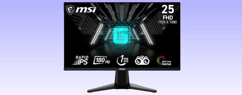 Monitor gaming MSI 24,5″ in offerta a 99,99 euro
