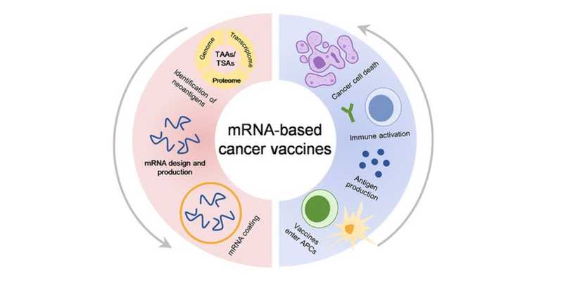 Il vaccino mRNA apre nuove frontiere nella lotta al cancro